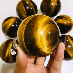 Collection image for: Tiger Eye