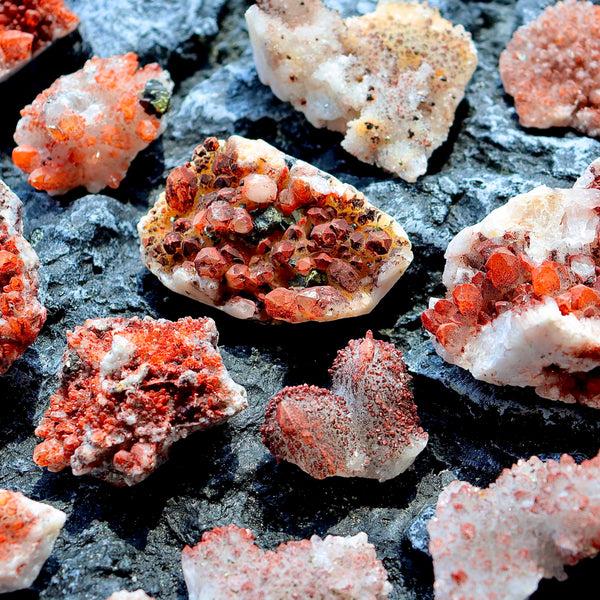 Clusters & Specimens