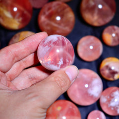 Collection image for: New Gems & Discoveries