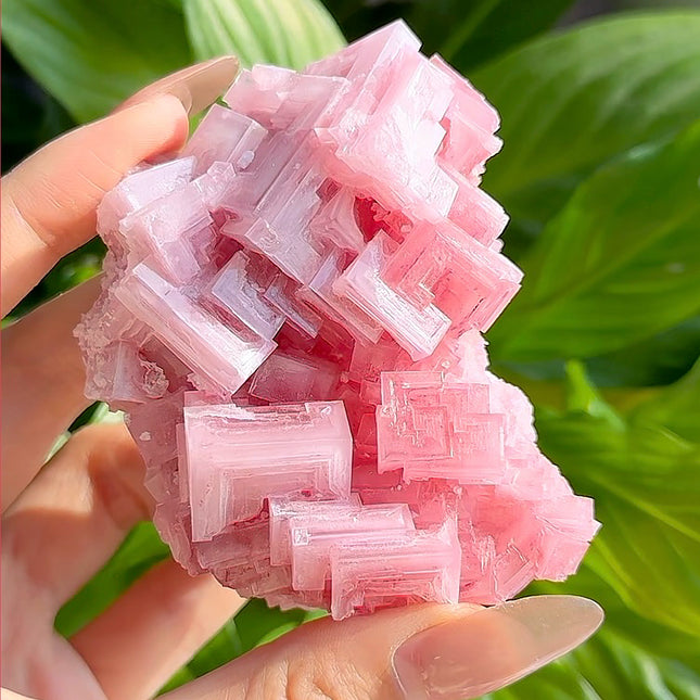 Crystal Specimen Pink Halite Specimen