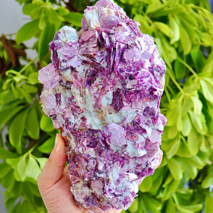 Purple Mica and Tourmaline raw stone