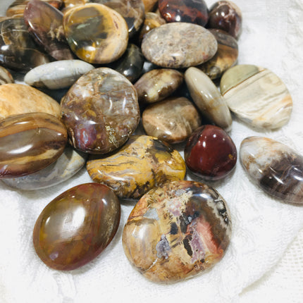 Crystal Palms Petrified Wood Palms