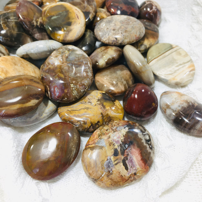 Crystal Palms Petrified Wood Palms