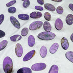 10 kg wholesale price