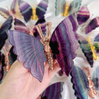 butterfly 1 pc