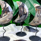 moon stand(1pc)