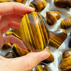 palms 250g