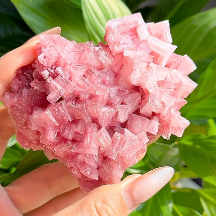 Crystal Specimen Pink Halite Specimen