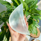 moon bowl 250g