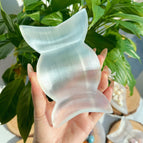 sweet bowl 500g
