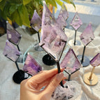 5pcs