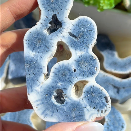 Crystal Tower Blue Coral Tower