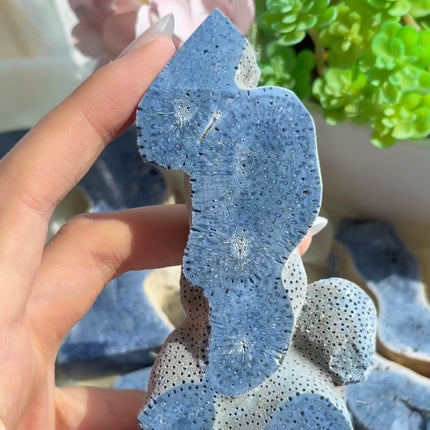 Crystal Tower Blue Coral Tower
