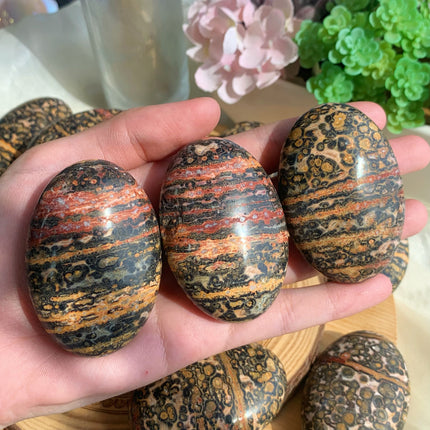 Leopard Jasper Palm Stone