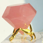 butterfly stand