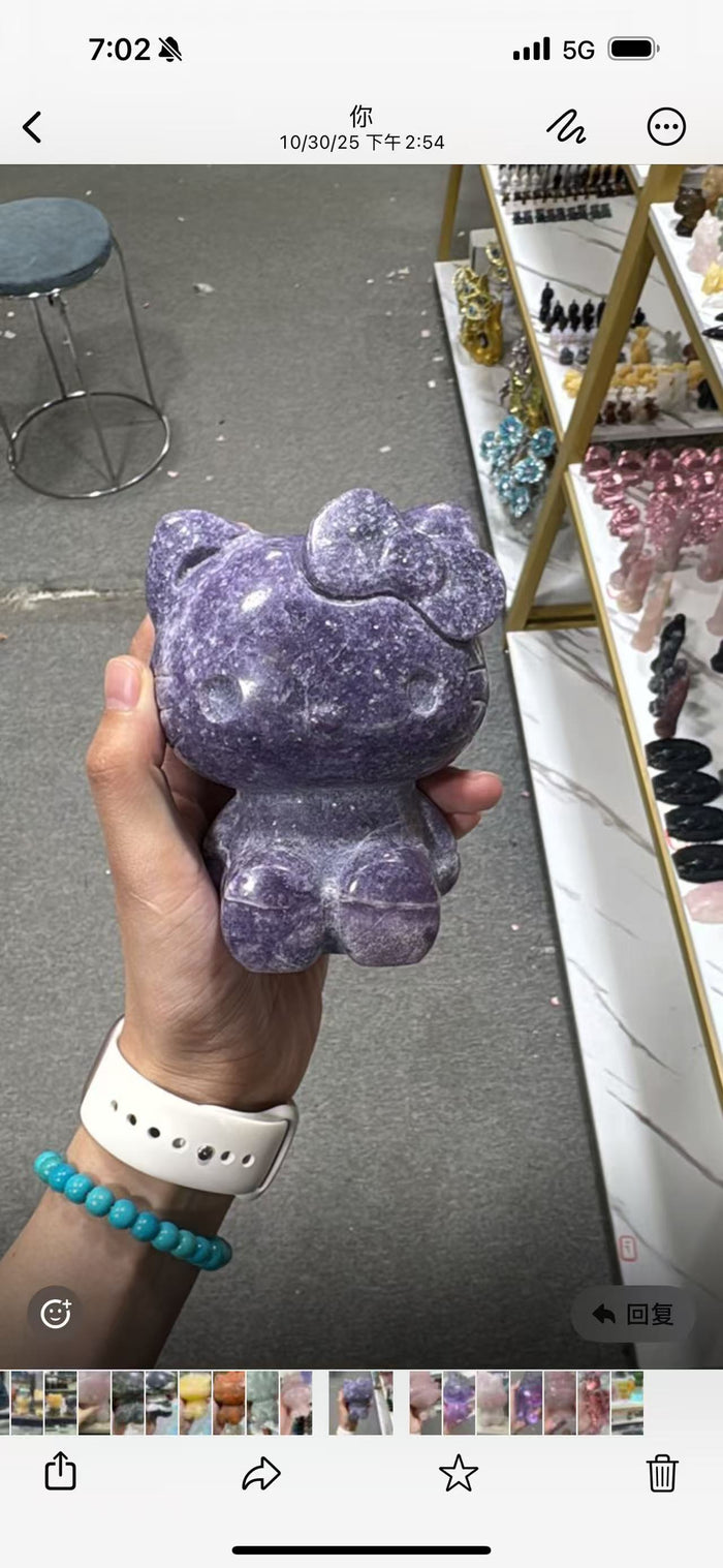 HK and melody For Wholesale Price