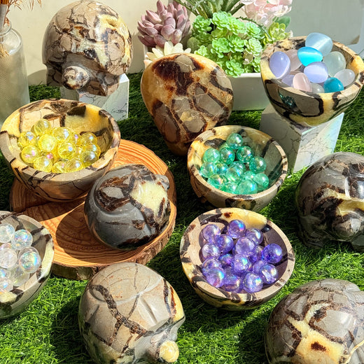 Crystal Freeform Septarium Bowl And Turtle For Wholesale Price