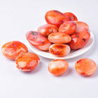 Crystal palm Carnelian palm