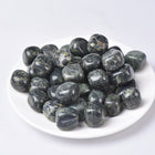 Kambaba Jasper Tumbled Stones