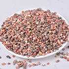 Crystal Chip Leopard Chips For Wholesale Price