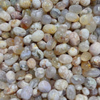 Flower Agate Tumbled Stones